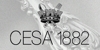 De Vita Gioielli - Cesa Argenti